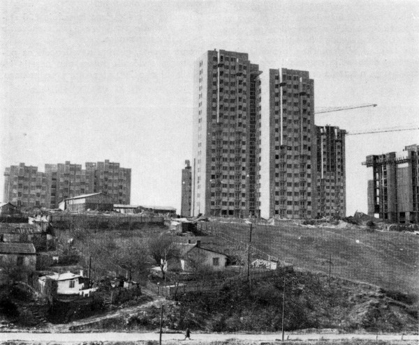 Foto: Borivoje Zdravković